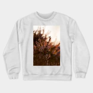 Calluna Crewneck Sweatshirt